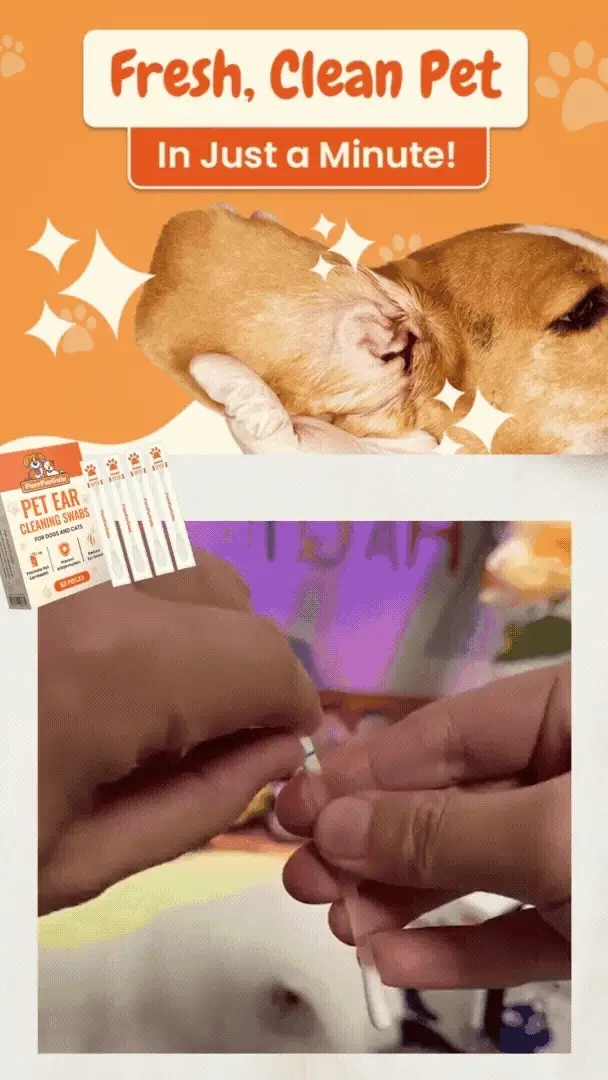 PurrFurGulu Pet Ear Cleaning Swabs safely clean your pet’s ears, eyes, and paws with soft, absorbent tips and a flexible handle.