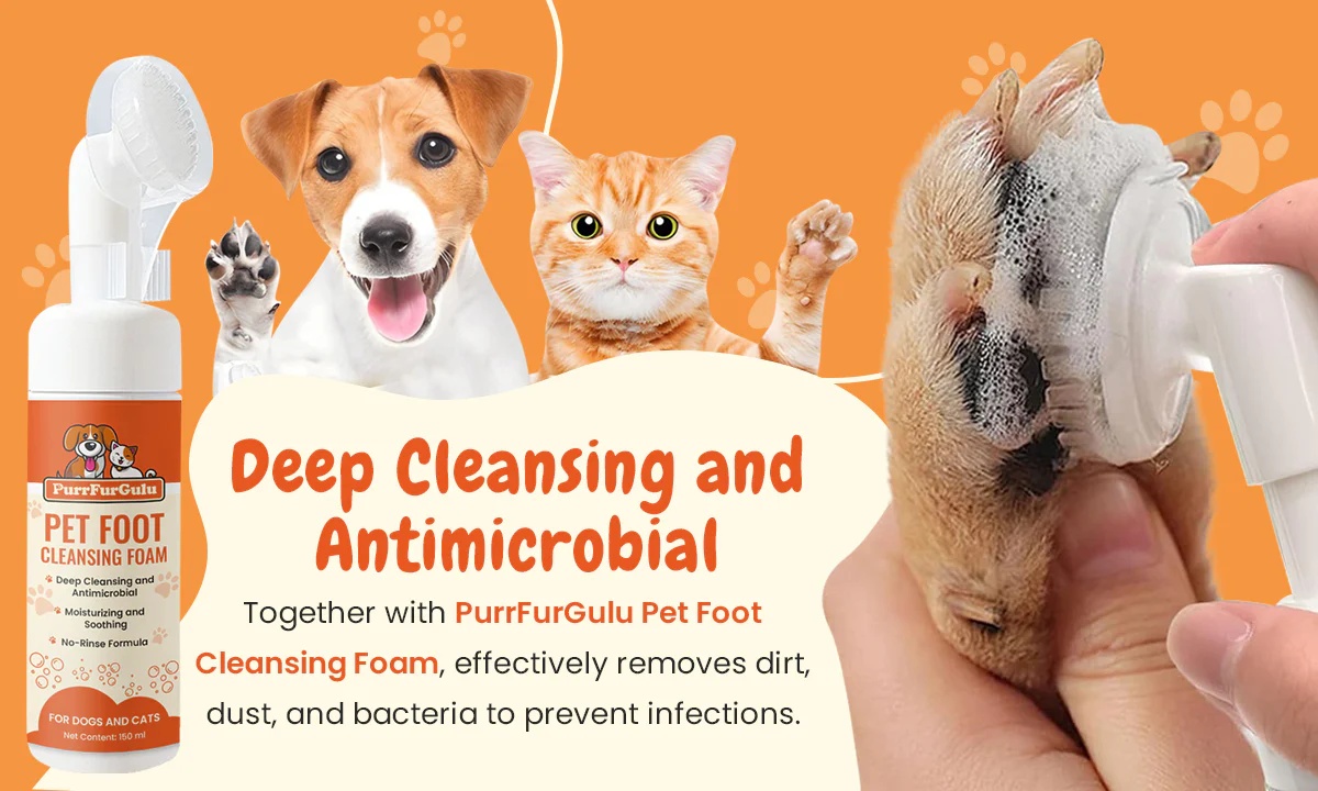 PurrFurGulu Pet Ear Cleaning Swabs provide a safe, stress-free cleaning experience for your pet’s sensitive spots.