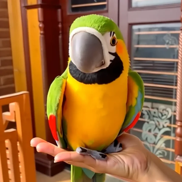 🦜Picotoy- Lifelike Parrot Buddy🦜